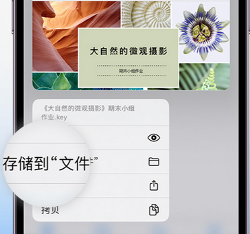 双桥apple维修中心分享iPhone文件应用中存储和找到下载文件