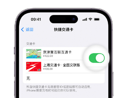 双桥apple维修点分享iPhone上更换Apple Pay快捷交通卡手绘卡面 