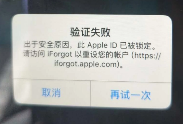 双桥iPhone维修分享iPhone上正常登录或使用AppleID怎么办 