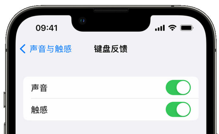 双桥苹果手机维修分享iPhone 14触感键盘使用方法 