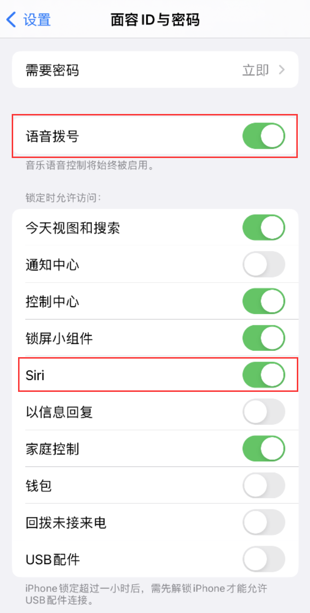 双桥苹果维修网点分享不解锁 iPhone 的情况下通过 Siri 拨打电话的方法 