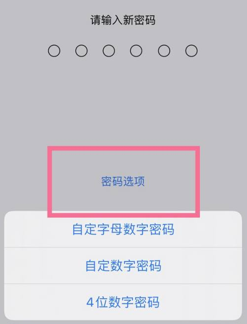 双桥苹果14维修分享iPhone 14plus设置密码的方法 