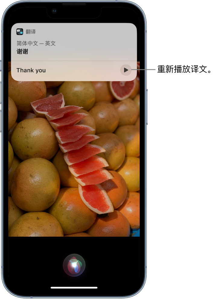 双桥苹果14维修分享 iPhone 14 机型中使用 Siri：了解 Siri 能帮你做什么 