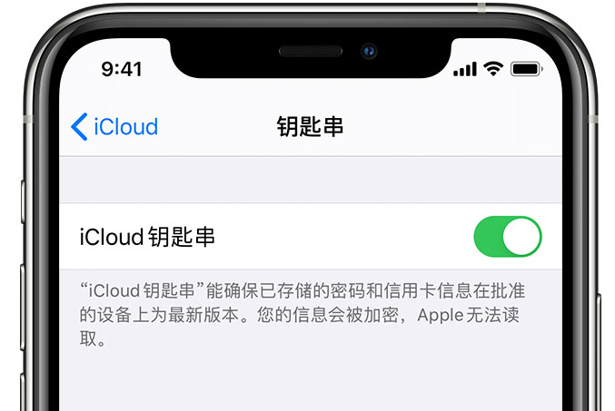 双桥苹果手机维修分享在 iPhone 上开启 iCloud 钥匙串之后会储存哪些信息 