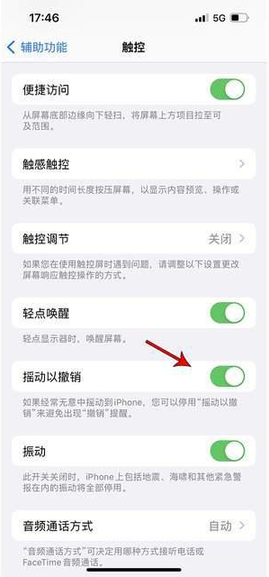 双桥苹果手机维修分享iPhone手机如何设置摇一摇删除文字 